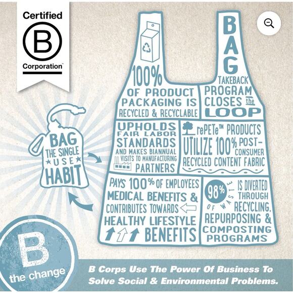 ChicoBag Travel Pack rePETe Compact Recycled Backpack - Retro - Picture 4 of 5